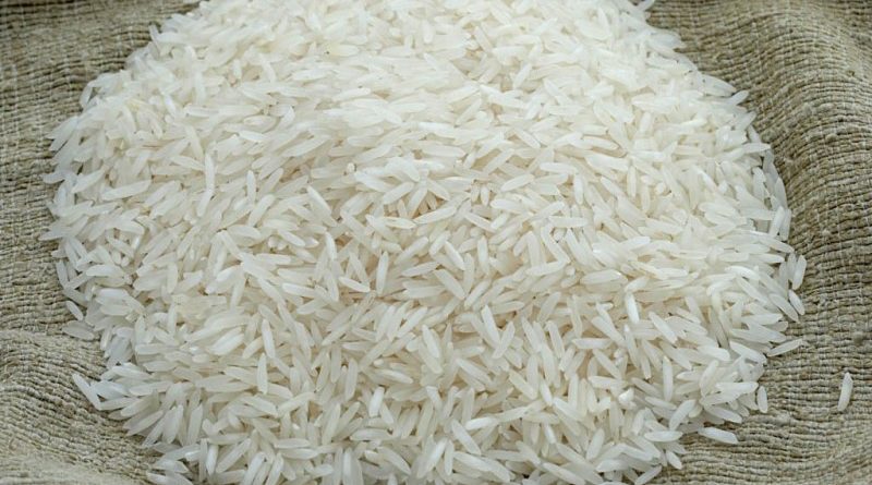 برنج ها ، سایت فروش مستقیم برنج اصل شمال